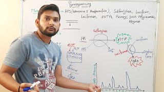 PyrosequencingDNA Sequencingin Hindi [upl. by Ycats]