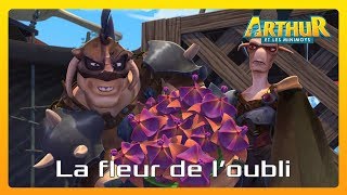 Arthur et les Minimoys  Extrait épisode La fleur de loubli  Dessin animé pour enfant [upl. by Mordecai]