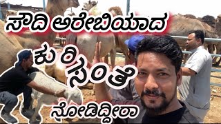 ಸೌದಿ ಅರೇಬಿಯಾದ ಕುರಿ ಸಂತೆ ಒಂಟೆ ಕೋಳಿ ಸಂತೆsheep market in Saudi ArabiaGulfkannadiga [upl. by Ardnued]