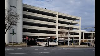 BeeLine BusHudson LinkCT Transit Various Bus Action  White Plains Transportation Center [upl. by Bron135]