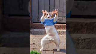 बिल्ली आ गई 😱😱😳shorts trending cat catlette funny cattos catlover dance greenscreen [upl. by Vadnee]