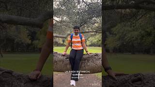 Automatic Flower Watch  Lalbagh Garden Bangalore  Couple  shorts viral couple trending [upl. by Nobel712]