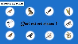 【Bruits de FLE】 Quel est cet oiseau   Quiz [upl. by Eisnyl]