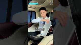 MercedesMaybach GLS 480 4MATIC  SUV dành cho quotchủ tịchquot [upl. by English]