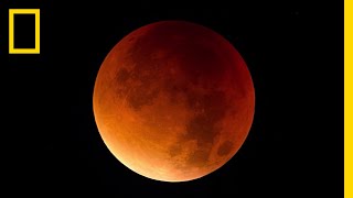 Lunar Eclipse 101  National Geographic [upl. by Geehan]