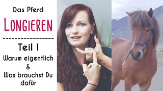 Pferd Longieren  Teil 1 Warum eigentlich amp was brauchst Du dafür [upl. by Ayotahs]