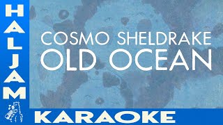 Cosmo Sheldrake  Old Ocean karaoke [upl. by Shafer163]