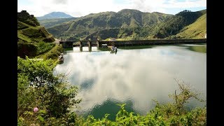 🌳 La Encina Características y Propagación 🌱 [upl. by Dorey190]