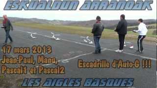 20130317 Escadrille de 4 autogires Durafly AutoG Hobbyking [upl. by Ty753]