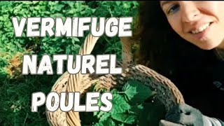 Vlog 10  Vermifuge naturel pour les poules et recette dautomne [upl. by Holcomb]