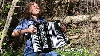 Kalev Tilk  accordion  KULTAINEN NUORUUS  KULDNE NOORUS [upl. by Bollen]