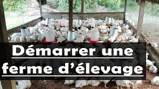 Voici 8 Etapes pour commencer une entreprise d’élevage de poulet à succès en Afrique [upl. by Egidio]