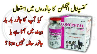 Conceptal Injection Use In Animals  Dr Noman Ali Hamza [upl. by Sheeree652]