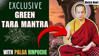 Green Tara Mantra chanting by Palga Rinpoche 108 Times [upl. by Aneloj328]