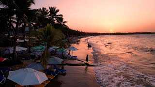 SEAHORSE amp CABARETE BEACH  4K [upl. by Yettie634]