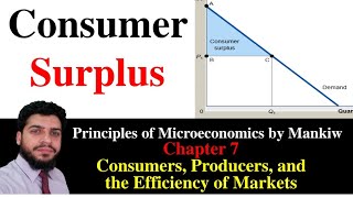 14 Consumer Surplus in Urdu  Hindi  Microeconomics by Mankiw  Hafiz Abubakar [upl. by Gerita]