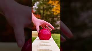 How to Build a DIY Bocce Ball Court  YellaWood [upl. by Sirah]