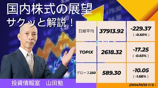 「総選挙ラリー不発！日経平均の今週の動向と注目の決算ラッシュ」山田勉のサクっと解説！（2024年10月25日号） [upl. by Ynej913]