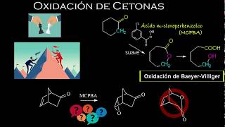 COMO NOMBRAR ALCOHOLES QUE SON PROPIEDADES Y NOMENCLATURA DE ALCOHOLES QUÍMICA CON IRWIN [upl. by Eilyr301]