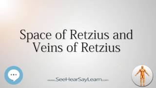 Space of Retzius and Veins of Retzius Anatomy Named After People 🔊 [upl. by Ivana]