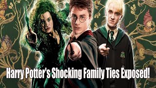 Shocking Family Ties Revealed How Harry Potter Is Secretly Linked to the Darkest Wizarding Families [upl. by Quintilla523]