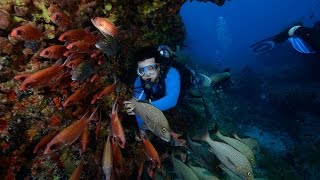 Mergulho em Noronha Pedras Secas [upl. by Erbe]