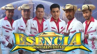 LA ESENCIA DE TIERRA CALIENTE PRESENTACIÒN MUSICAL 2016 [upl. by Eerej]