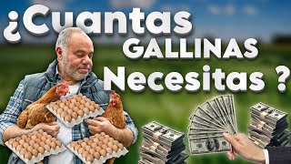 Cuantas GALLINAS PONEDORAS hay que TENER para Que Sea RENTABLE tu NEGOCIO en 2024 [upl. by Vola]