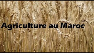 Agriculture au Maroc Plan Maroc vertالفلاحة المغربية [upl. by Doty]