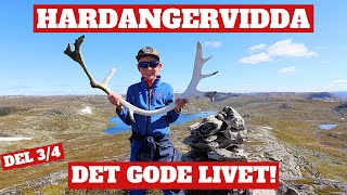 Vikbekkfjellet  Hardangervidda  Friluftslivet nytes med topptur fiske og masse hygge Del 34 [upl. by Orsay]