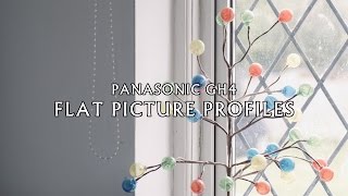 Panasonic GH4 Flat Picture Profiles 4K [upl. by Gayn]