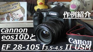 キャノンEOS 10DとEF 28105mm f3545 II USMで撮影してきました。 [upl. by Aerdnwahs819]