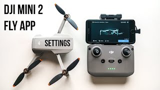 DJI Mini 2  The Best DJI Fly app Settings [upl. by Llemrej]