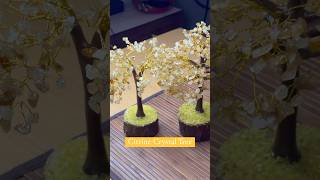 CITRINE CRYSTAL TREE healing healingcrystalsandstones healingmeditation healing meditationtree [upl. by Aliemaj810]