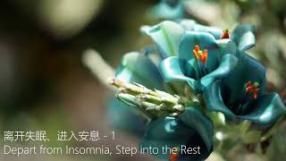 离开失眠、进入安息  Depart from Insomnia Step into the Rest  1 [upl. by Meijer]