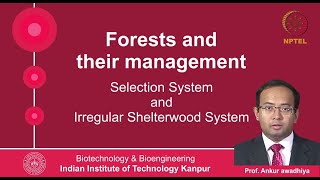 noc20bt01lec24 Lecture 24 Selection System and Irregular Shelterwood System [upl. by Gwendolin230]