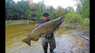 BETSIE RIVER MICHIGAN SALMON FISHING FALL 2021 [upl. by Aicil486]