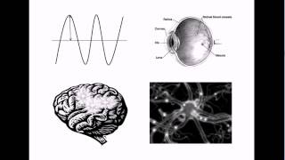 NonPhysical Properties of the Mind Qualia 1 Introduction [upl. by Anawat832]