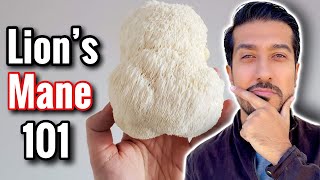 Lions Mane Mushroom for Anxiety and Brain Function  Does Lion’s Mane Work [upl. by Eidurt669]