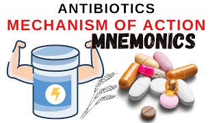 Antibiotics mechanism of action mnemonics [upl. by Ardnama]