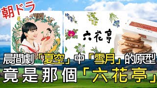 晨間劇「夏空」中「雪月」的原型竟是「六花亭」 [upl. by Scherle]