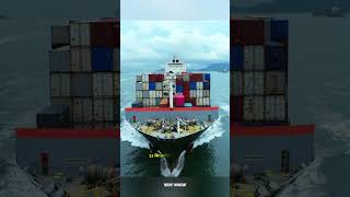 The True Cost of Running a Cargo Ship shorts shortvideo facts [upl. by Sevik221]