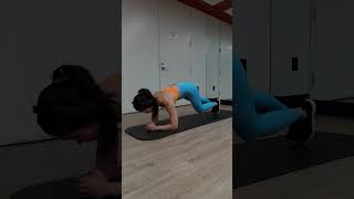 Forearm plank mountain climbers  FORM DEMO [upl. by Saisoj]