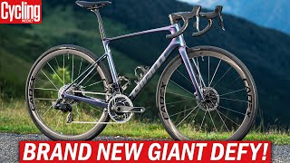 NEW 2024 Giant Defy  One Of The Last True Endurance Road Bikes [upl. by Naraa]