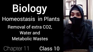 Homeostasis in Plants Removal of extra CO2 O2 Removal of extra Water Removal of Metabolic Wastes [upl. by Nwonknu]