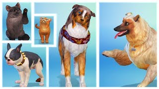 THE SIMS 4 CATS AND DOGS  Create A Pet Real footage [upl. by Acilejna311]