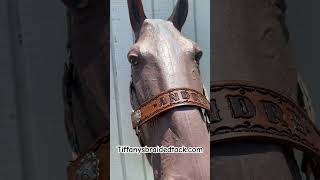 Horse halter with name tooled on leather noseband horseriding horsetack halter [upl. by Hubbard]