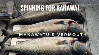 SPINNING FOR KAHAWAI WITH LIGHT GEAR ON THE MANAWATU RIVERMOUTH [upl. by Feinleib877]