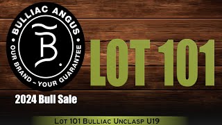 Lot 101 Bulliac Unclasp U19 [upl. by Ysied84]