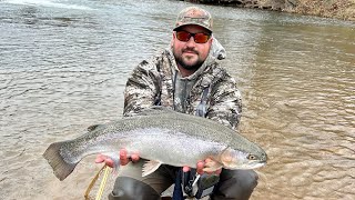 Huge 9 pound 275 inch trout from Blue Springs Pickle’s bottom [upl. by Gabriela]